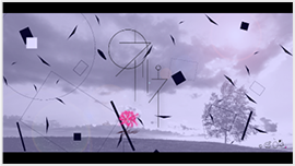 nerine